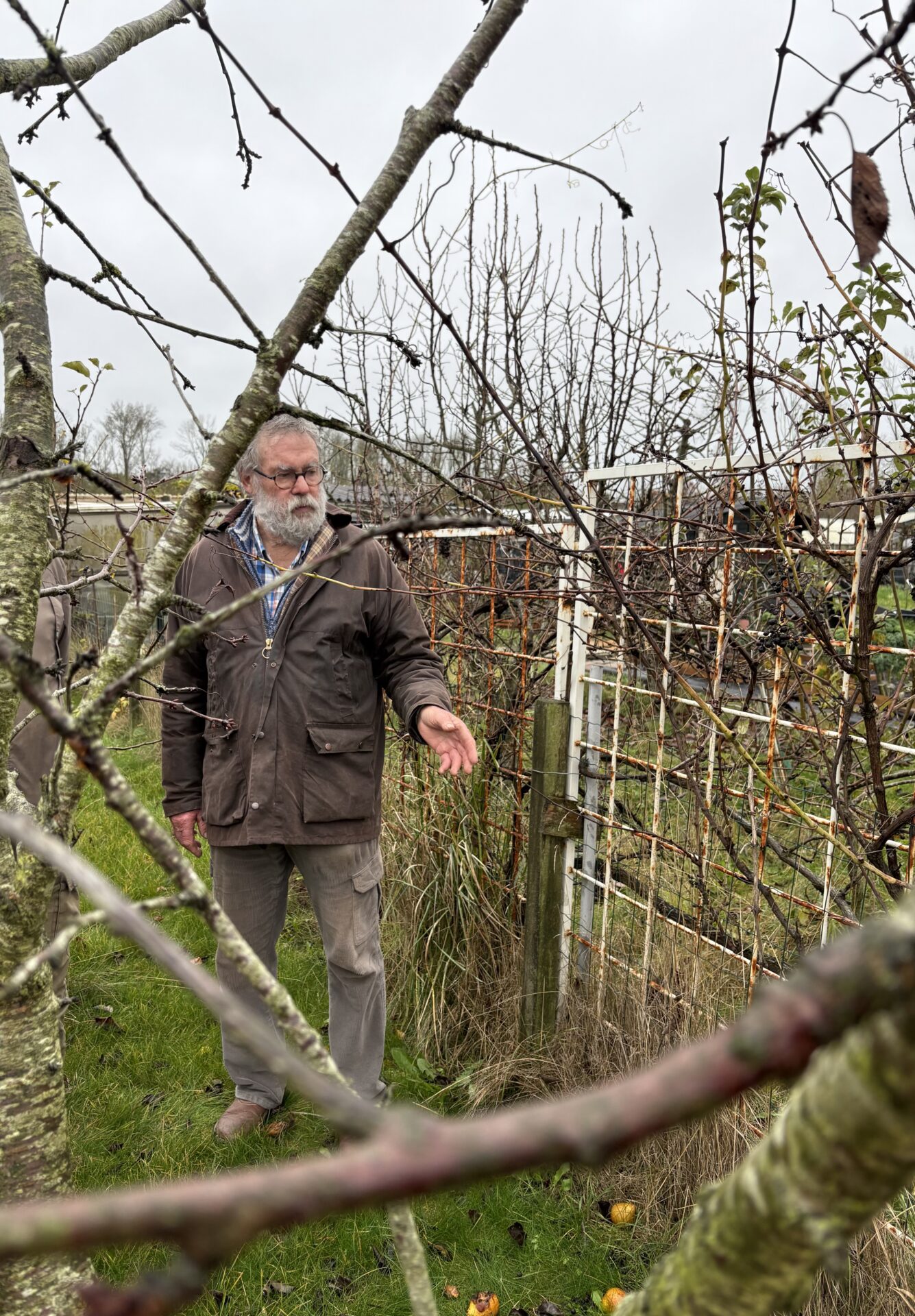 Workshop fruitbomen snoeien Het Gelderse Hout Lelystad