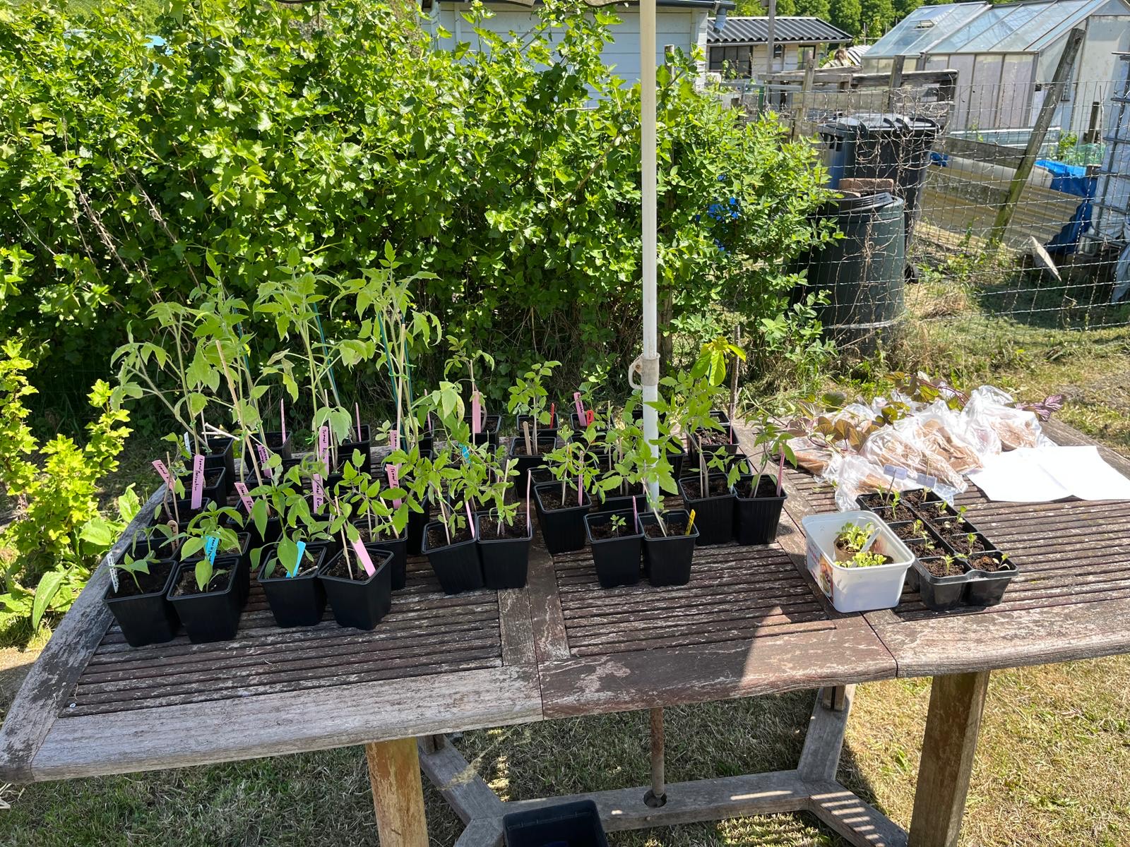 Volkstuinvereniging Het Gelderse Hout